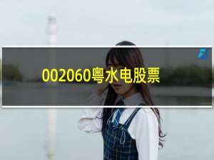 002060粤水电股票走势