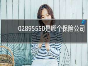 02895550是哪个保险公司