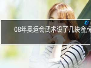 08年奥运会武术设了几块金牌