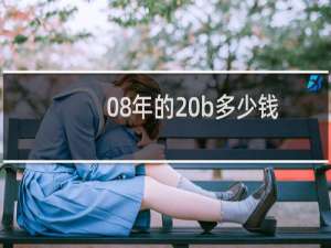 08年的20b多少钱