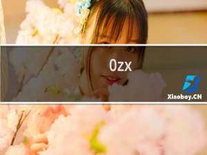 0zx.cn网站被上传垃圾