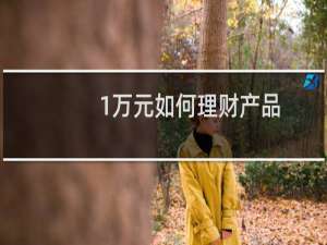 1万元如何理财产品