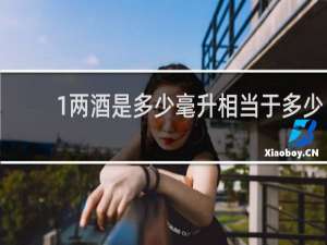 1两酒是多少毫升相当于多少