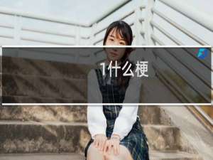 1什么梗