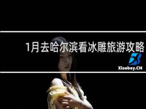 1月去哈尔滨看冰雕旅游攻略