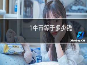 1牛币等于多少钱