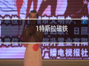 1特斯拉磁铁