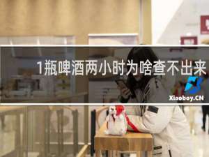 1瓶啤酒两小时为啥查不出来