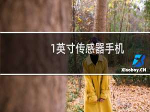 1英寸传感器手机