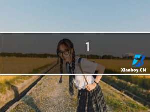 1.域名shenghuijinghua.com实名认证的证件