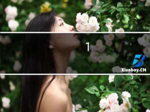 1.6小车全险多少钱