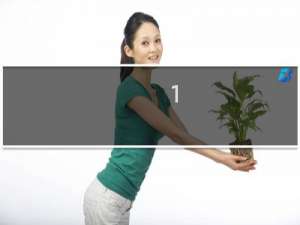 1.6排量保险是多少