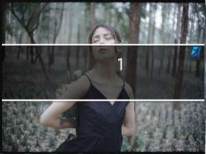 1.6排量商业险多少钱