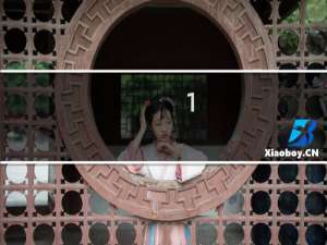 1.8排量第三者保险多少钱