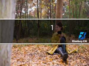 1.80热血传奇官方任务攻略