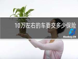 10万左右的车要交多少保险