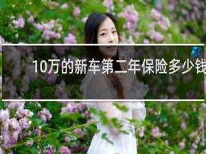 10万的新车第二年保险多少钱