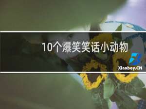 10个爆笑笑话小动物