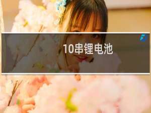10串锂电池