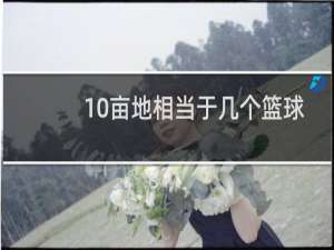 10亩地相当于几个篮球场