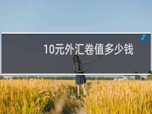 10元外汇卷值多少钱
