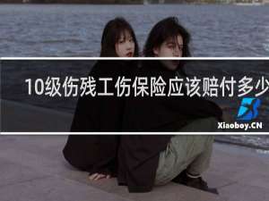 10级伤残工伤保险应该赔付多少钱