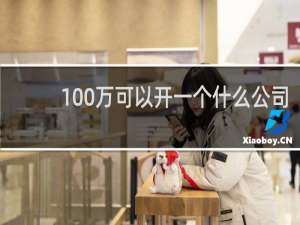 100万可以开一个什么公司