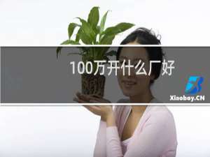 100万开什么厂好