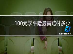 100元学平险最高赔付多少