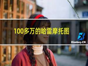 100多万的哈雷摩托图片