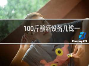 100斤酿酒设备几钱一套