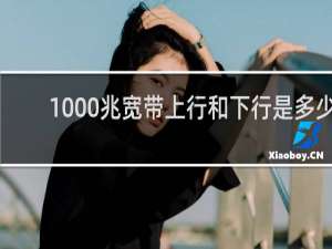 1000兆宽带上行和下行是多少