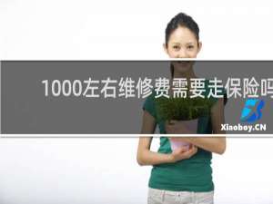 1000左右维修费需要走保险吗