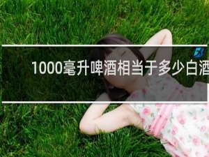 1000毫升啤酒相当于多少白酒