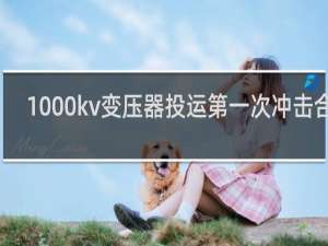 1000kv变压器投运第一次冲击合闸