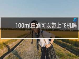 100ml白酒可以带上飞机吗