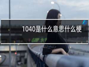1040是什么意思什么梗