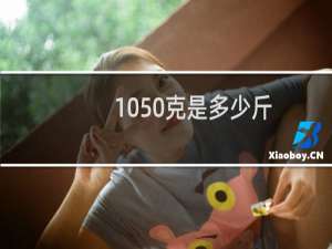 1050克是多少斤