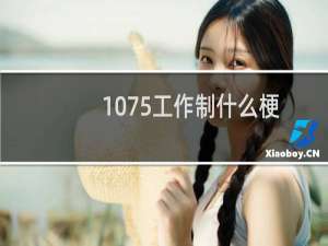 1075工作制什么梗