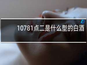 10781点二是什么型的白酒