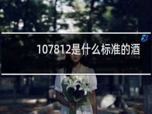 107812是什么标准的酒