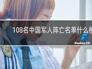 108名中国军人阵亡名单什么梗