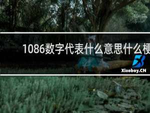 1086数字代表什么意思什么梗