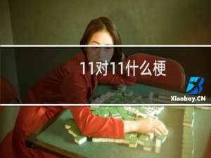 11对11什么梗