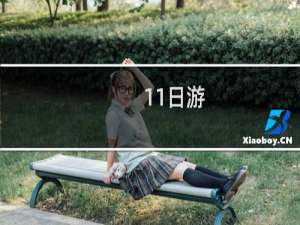 11日游