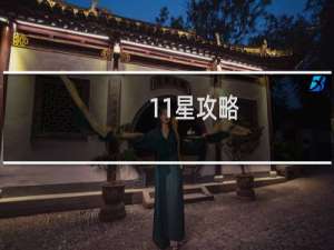 11星攻略