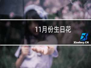 11月份生日花