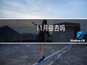 11月银杏吗