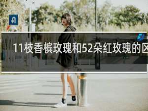 11枝香槟玫瑰和52朵红玫瑰的区别