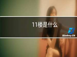 11楼是什么
